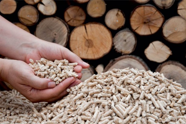 REGIONE PIEMONTE: Biomasse forestali, in vigore il nuovo regolamento sui sottoprodotti 